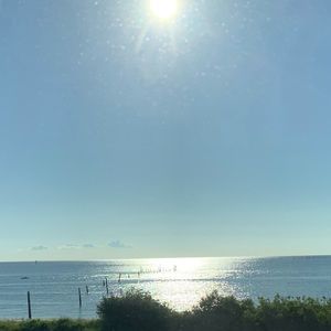 Meet your Posher, Mason